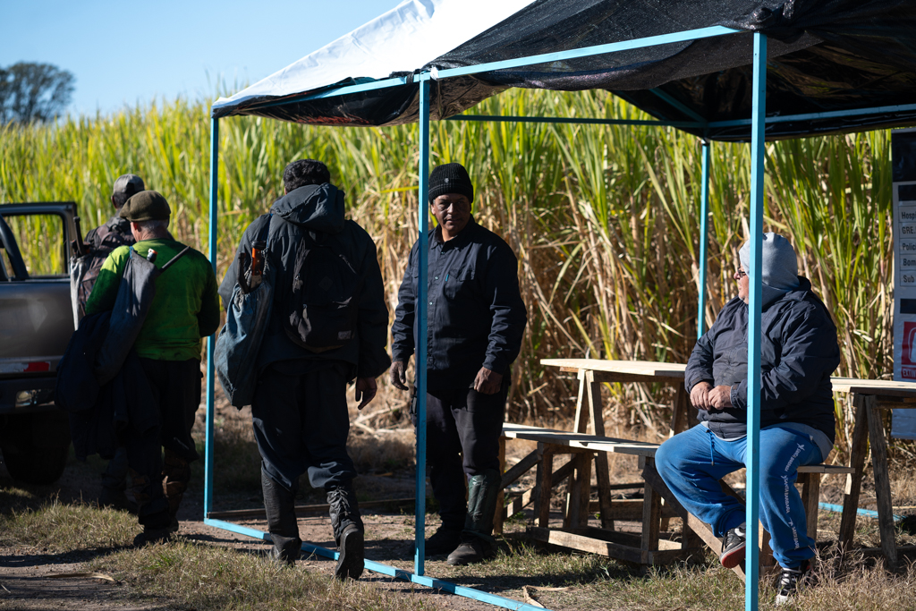Auditorías en frentes de corte centralizados de caña de azúcar